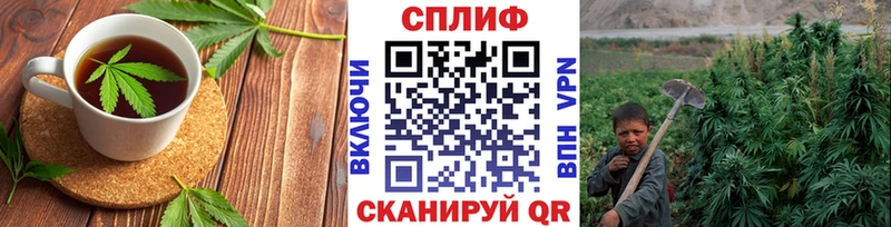 цена   Солнечногорск  Canna-Cookies марихуана 
