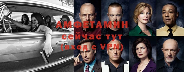 шишки Аркадак
