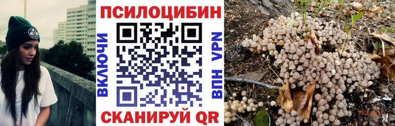 купить  цена  Солнечногорск  Псилоцибиновые грибы мухоморы 